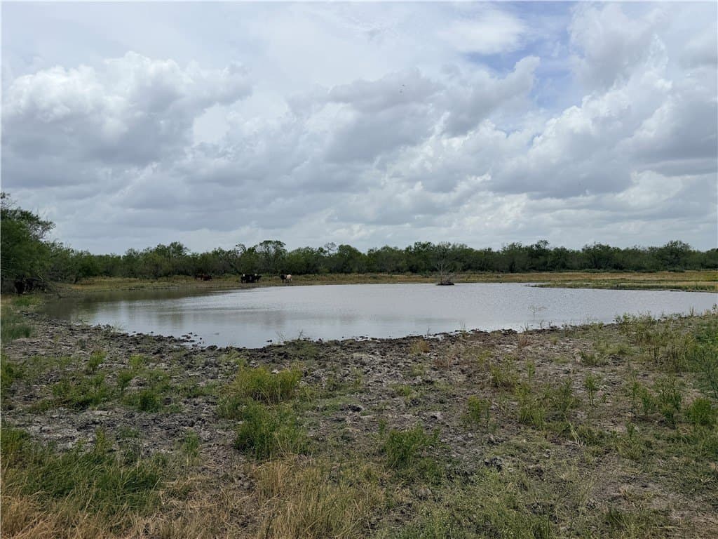 700 acres in McMullen County - photo 28