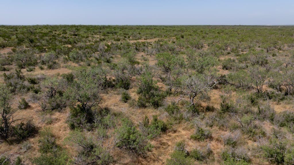 700 acres in McMullen County - photo 18