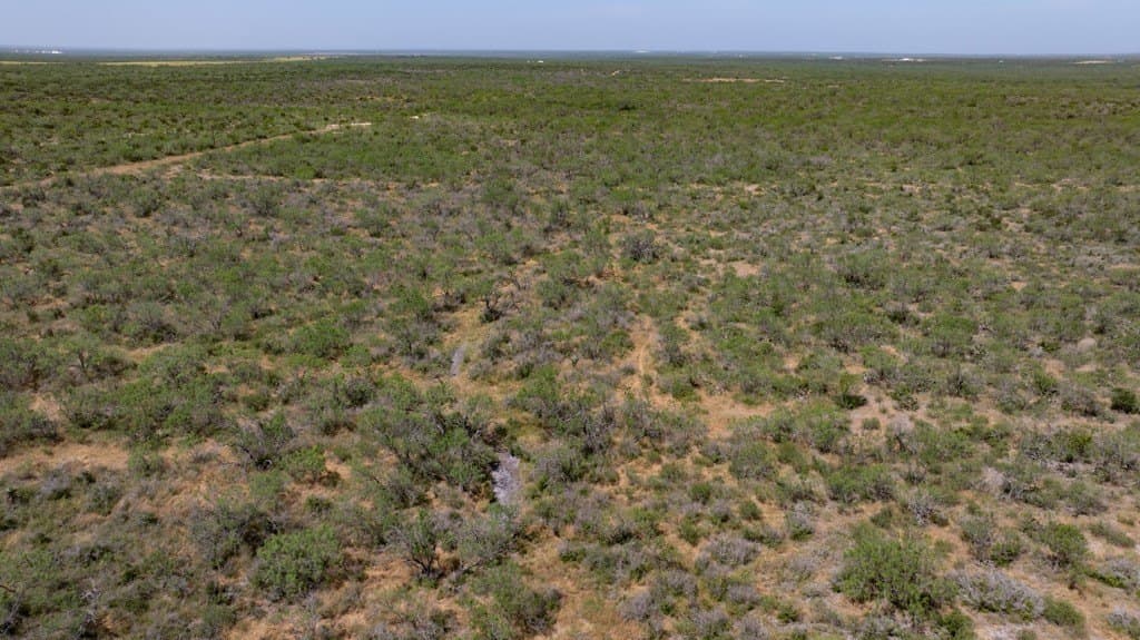 700 acres in McMullen County - photo 20