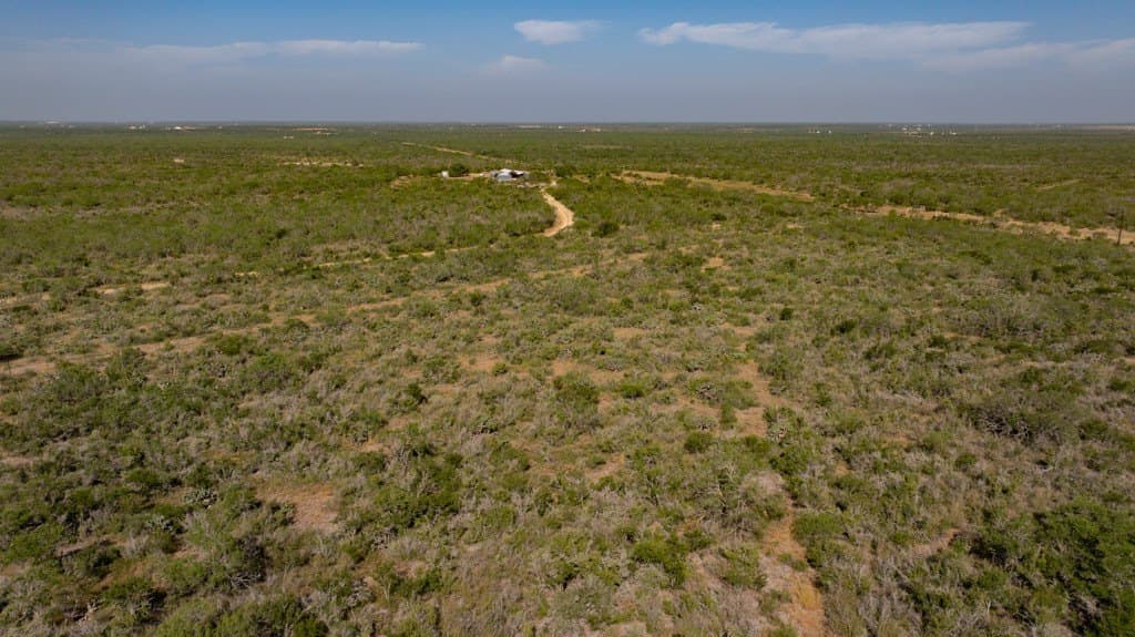 700 acres in McMullen County - photo 11