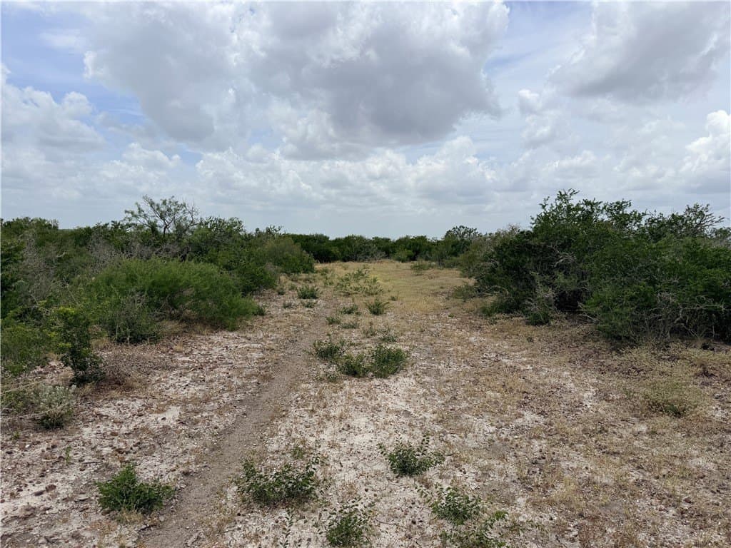 700 acres in McMullen County - photo 23
