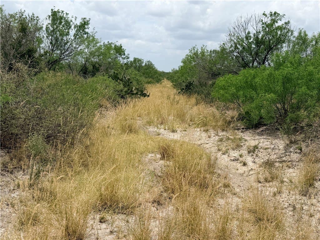 700 acres in McMullen County - photo 27