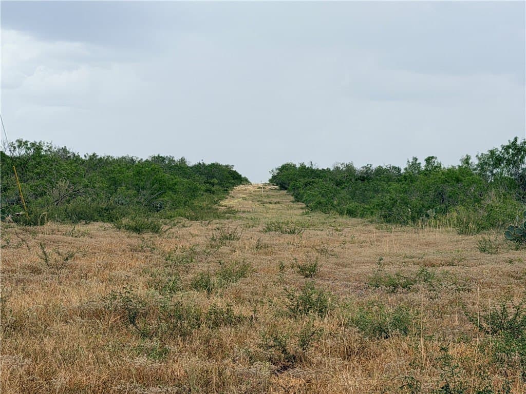 700 acres in McMullen County - photo 33