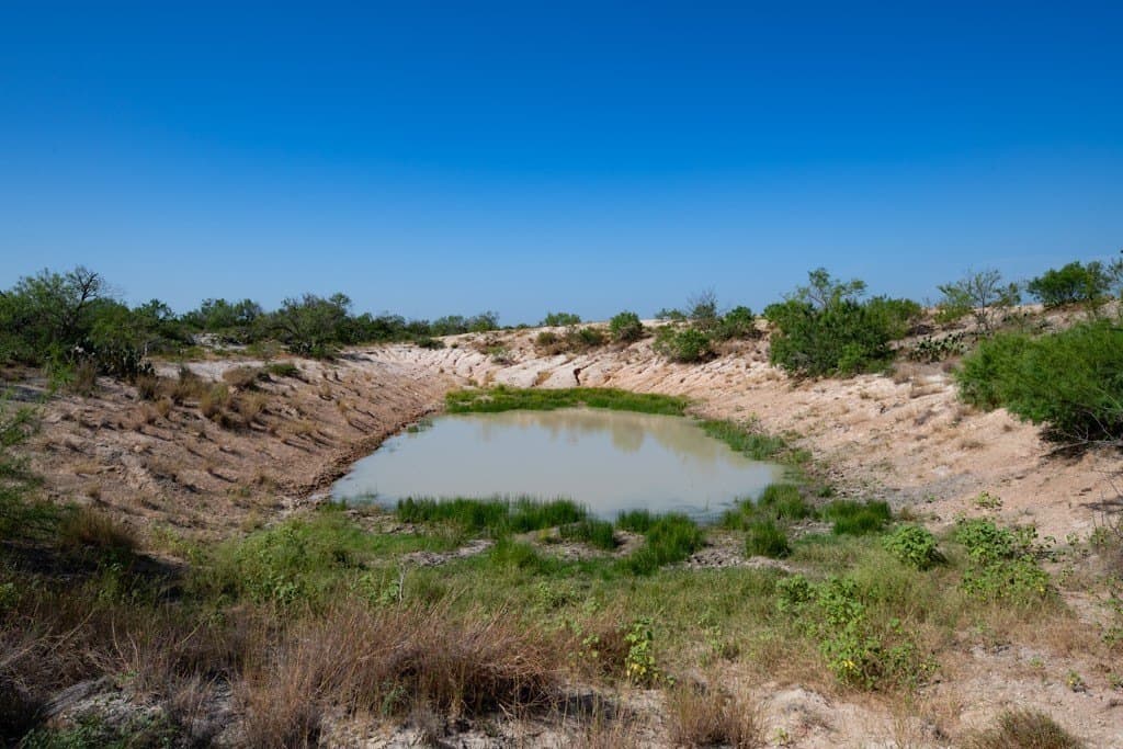 700 acres in McMullen County - photo 2