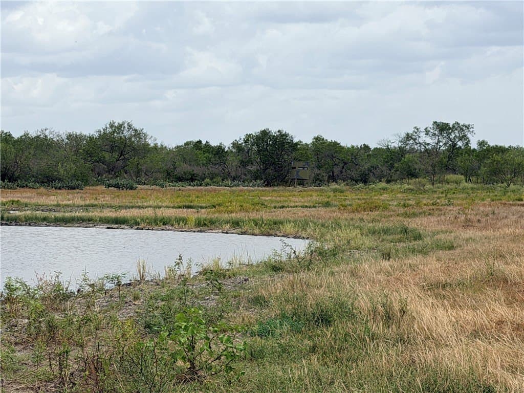 700 acres in McMullen County - photo 29