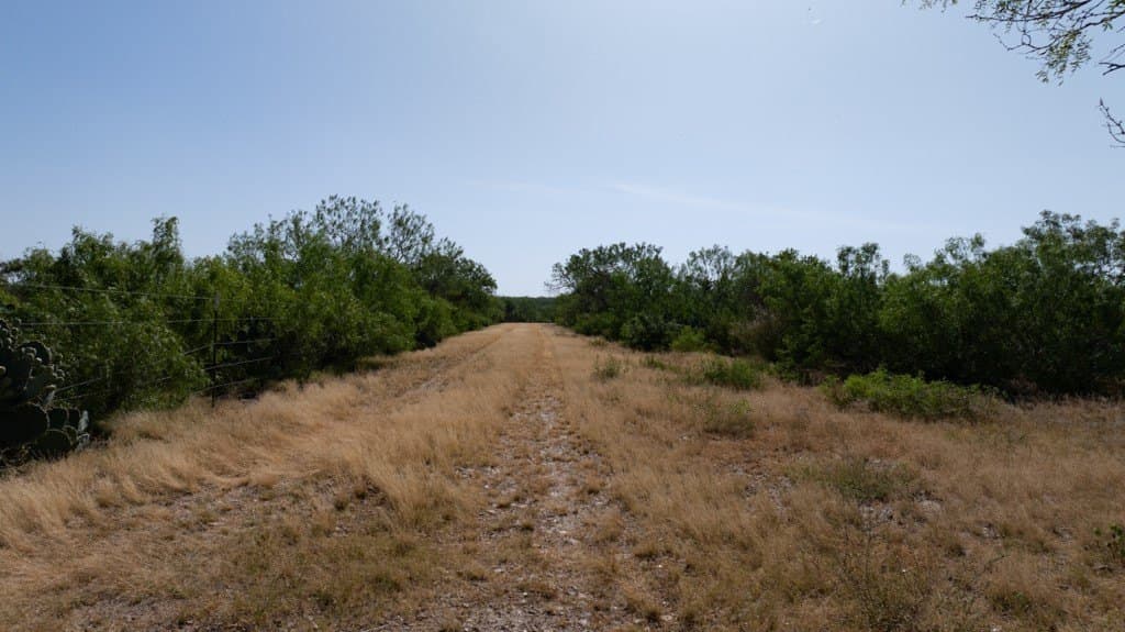 700 acres in McMullen County - photo 13