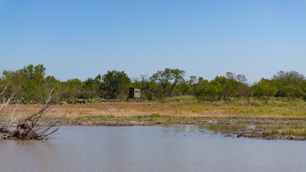 700 acres in McMullen County - photo 15