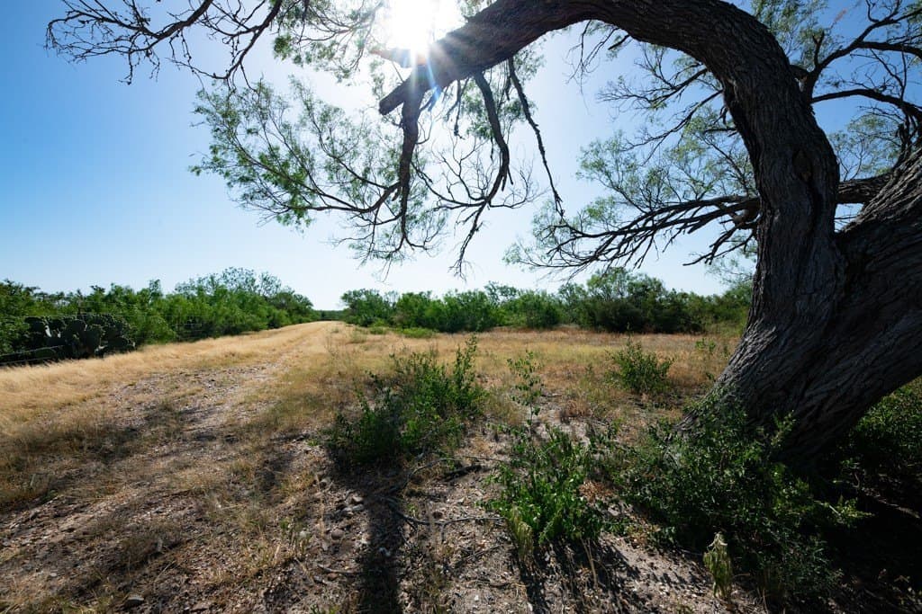 700 acres in McMullen County