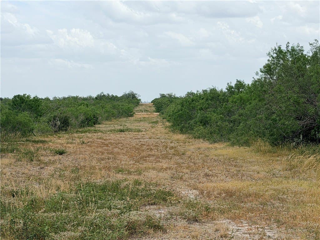 700 acres in McMullen County - photo 35