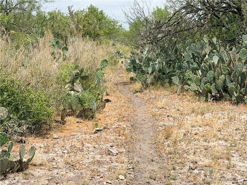 700 acres in McMullen County - photo 26