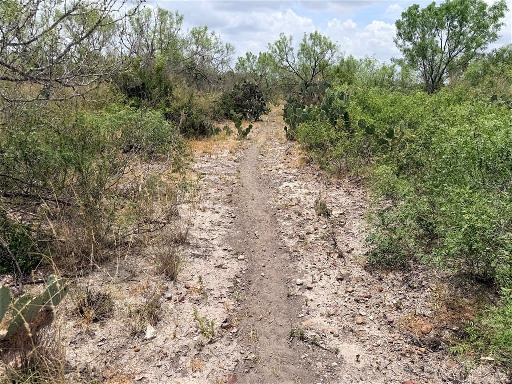 700 acres in McMullen County - photo 25