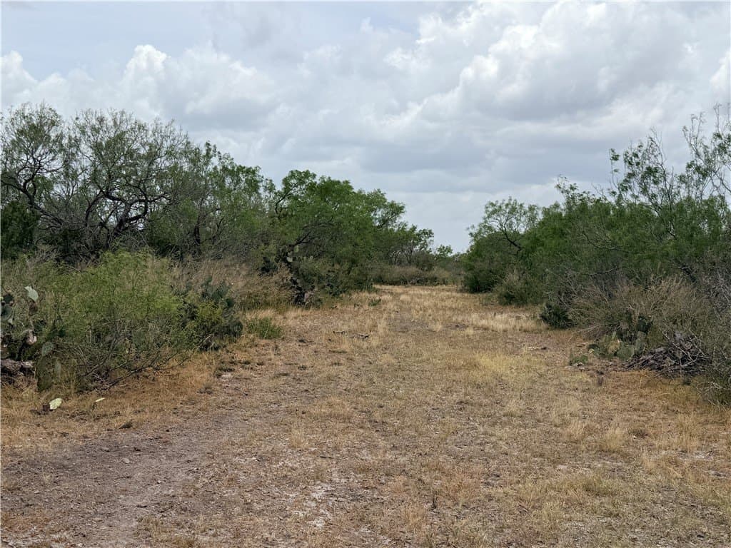 700 acres in McMullen County - photo 24