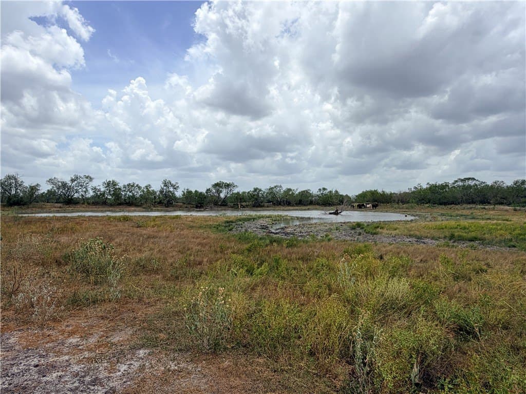 700 acres in McMullen County - photo 31