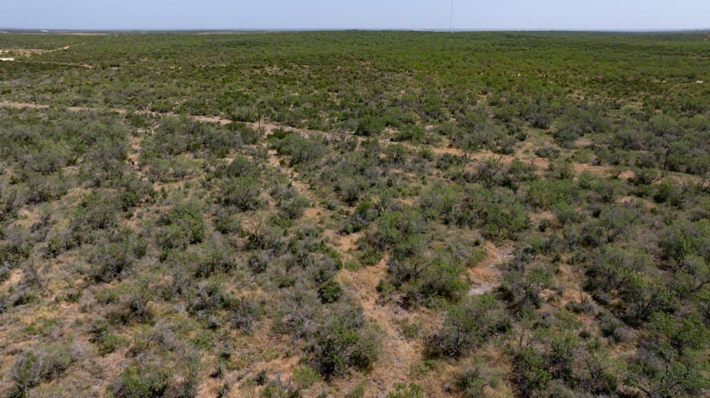700 acres in McMullen County - photo 19