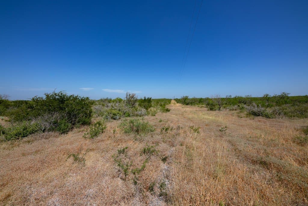 700 acres in McMullen County - photo 6