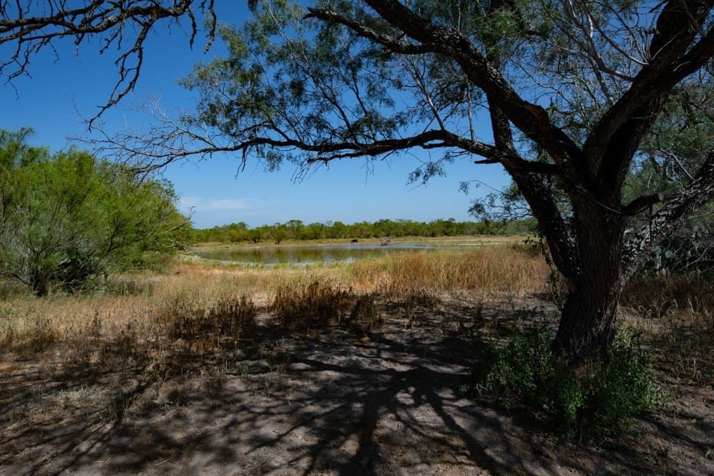 700 acres in McMullen County - photo 4