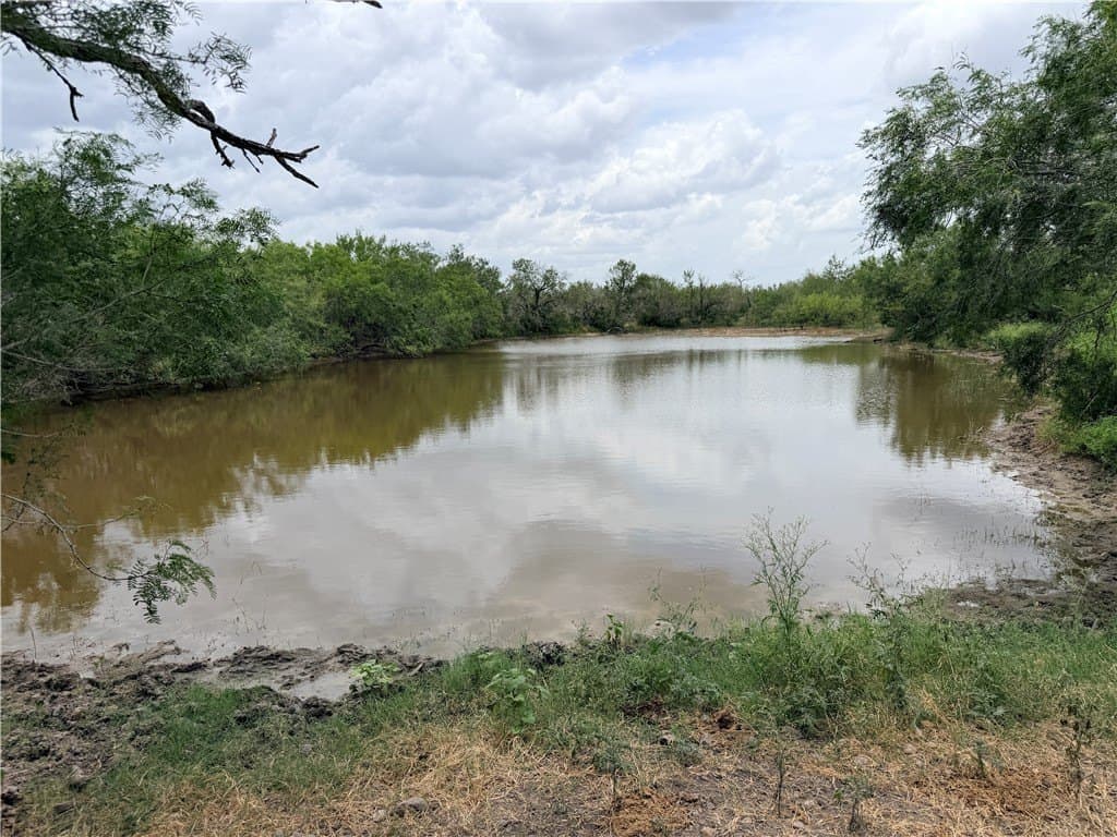 700 acres in McMullen County - photo 32