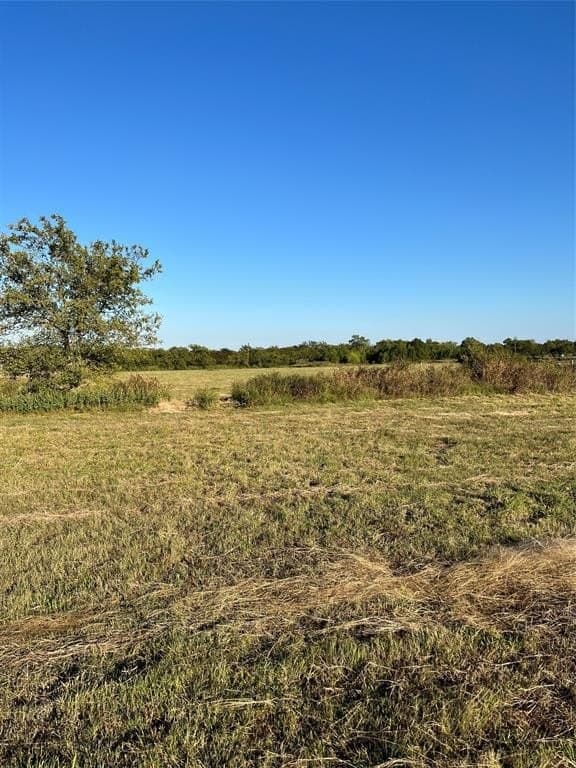 11 acres in Grayson County gallery image 4