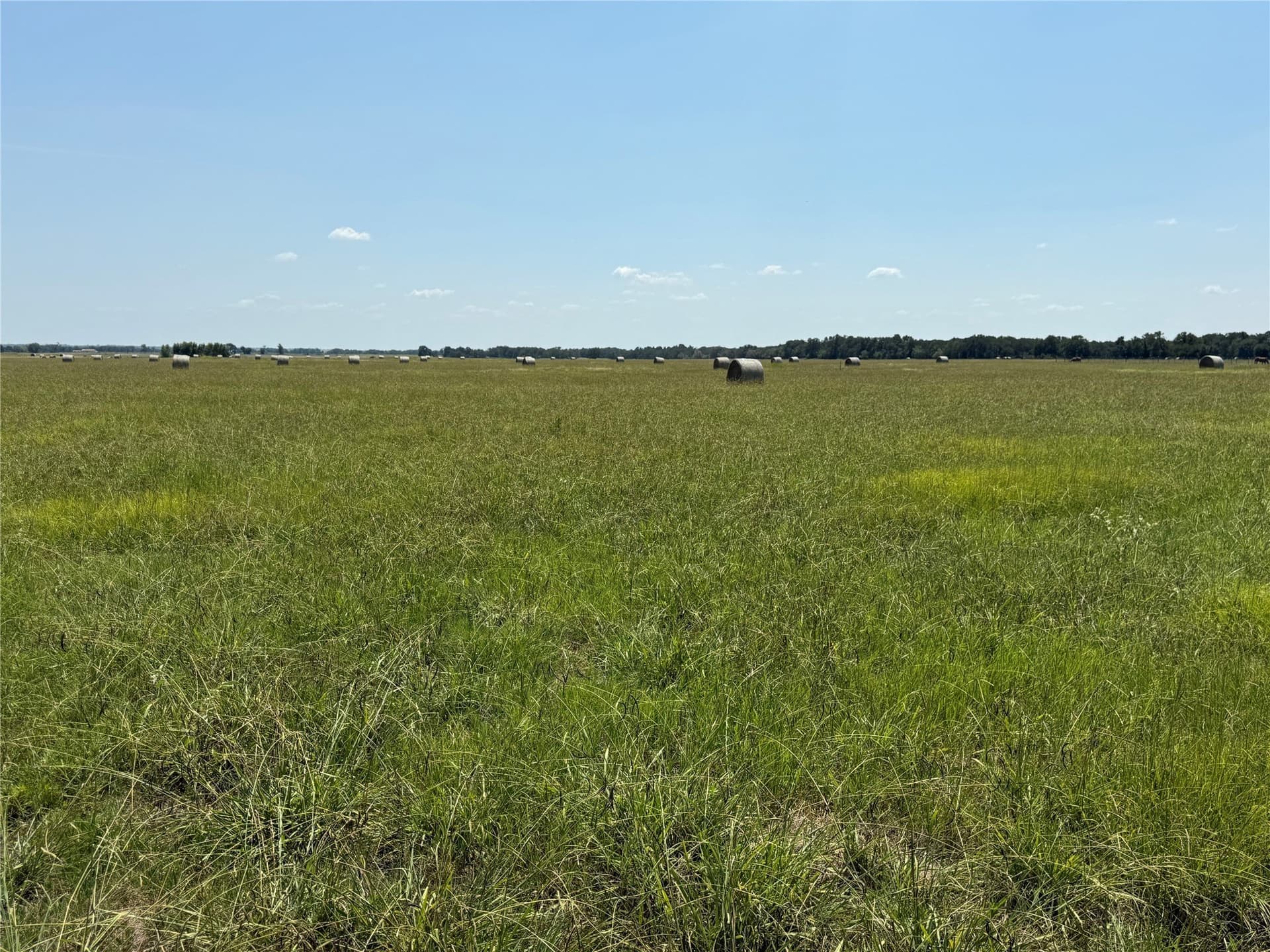 11 acres in Falls County gallery image 2