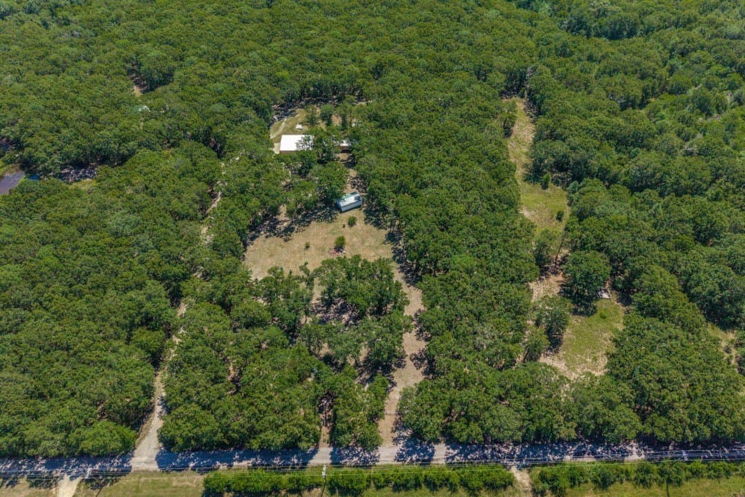 20.95 acres in Rains County gallery image 2