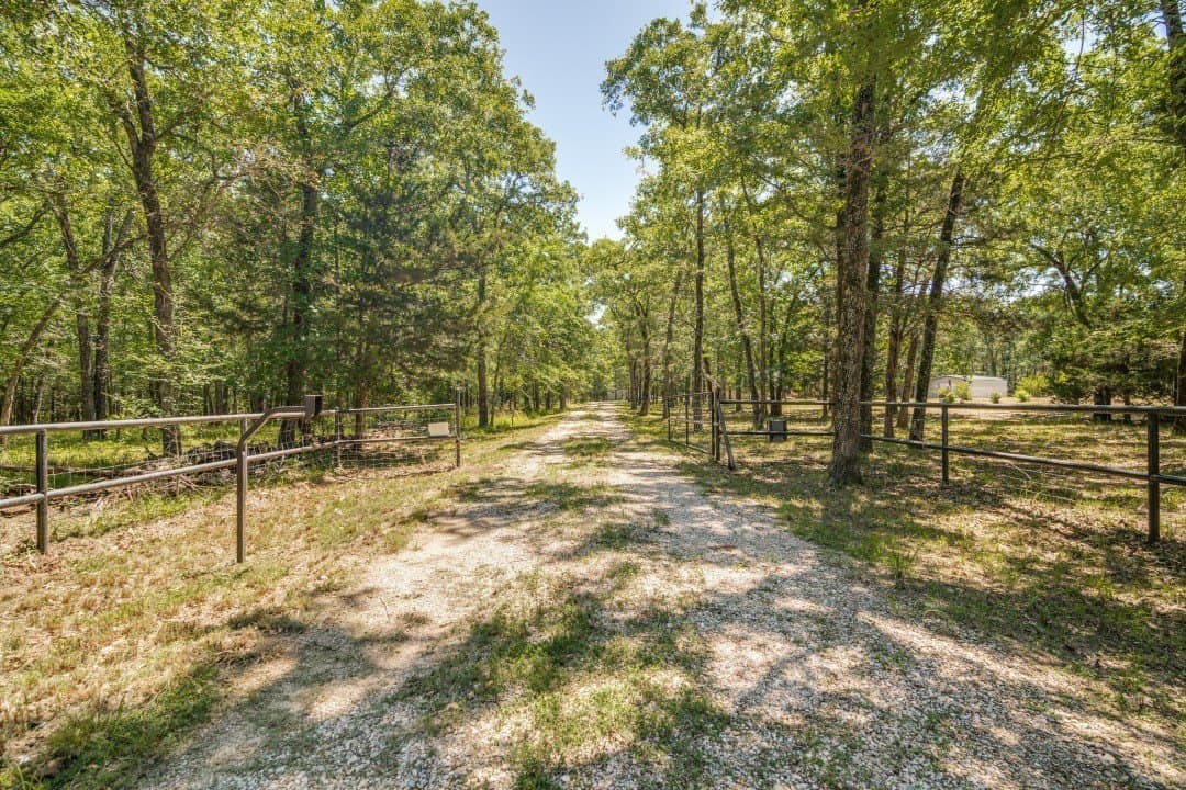 20.95 acres in Rains County gallery image 4