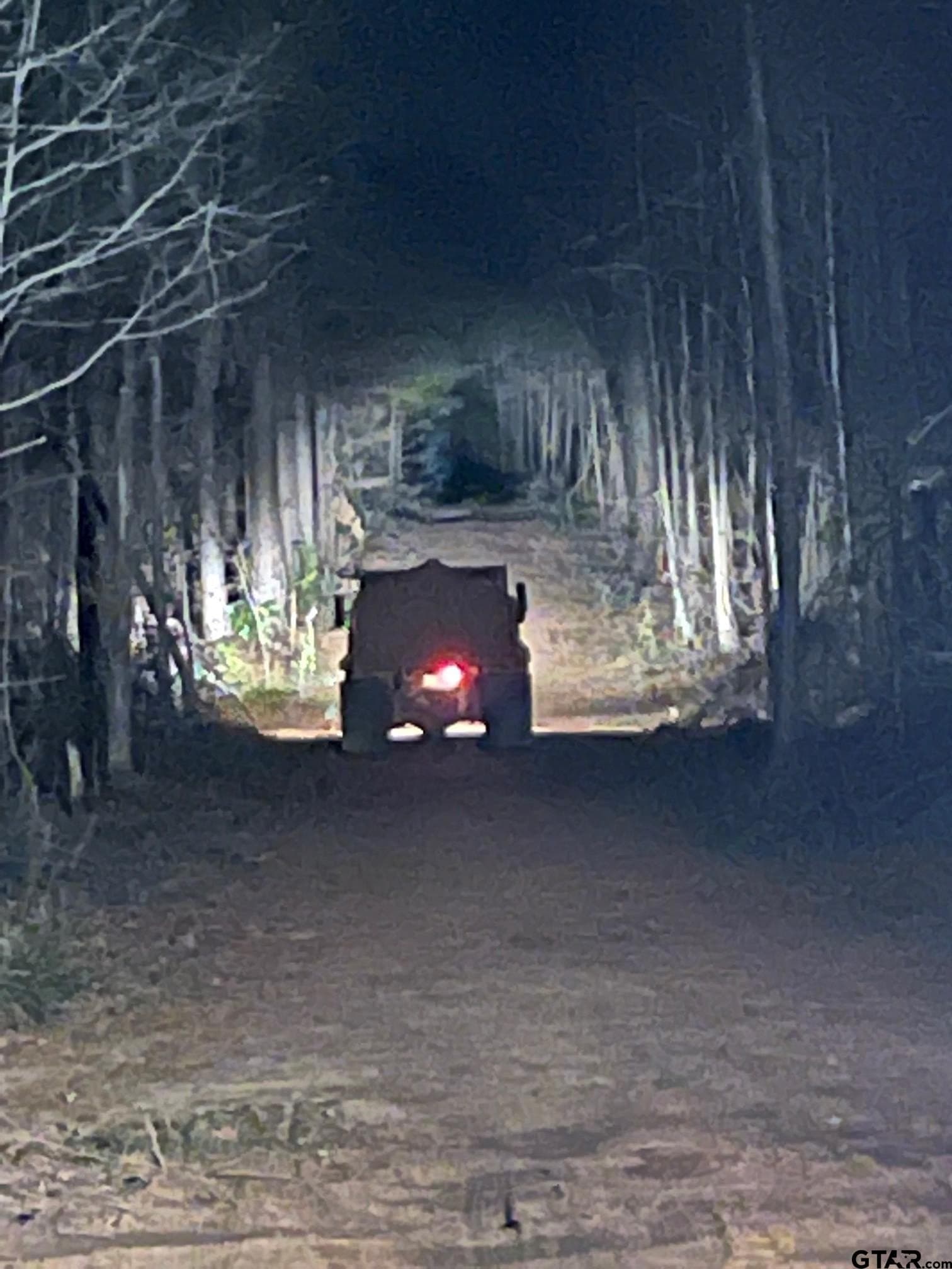 38 acres in Gregg County gallery image 2