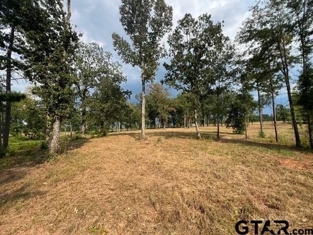 38 acres in Gregg County - photo 27