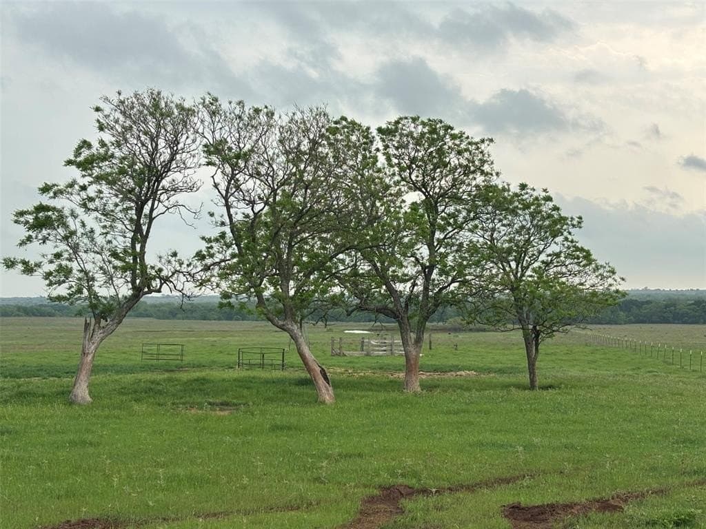 131 acres in Montague County featured view