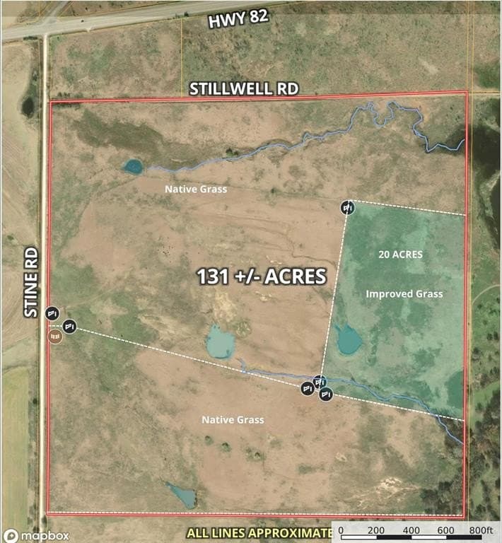 131 acres in Montague County gallery image 3