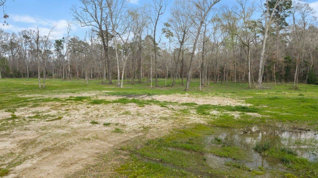2.19 acres in Texas County - photo 23