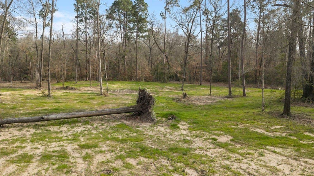 2.19 acres in Texas County - photo 33
