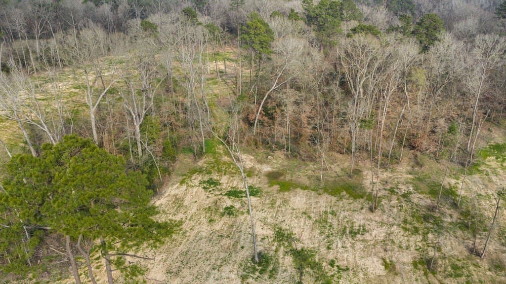 2.19 acres in Texas County - photo 26