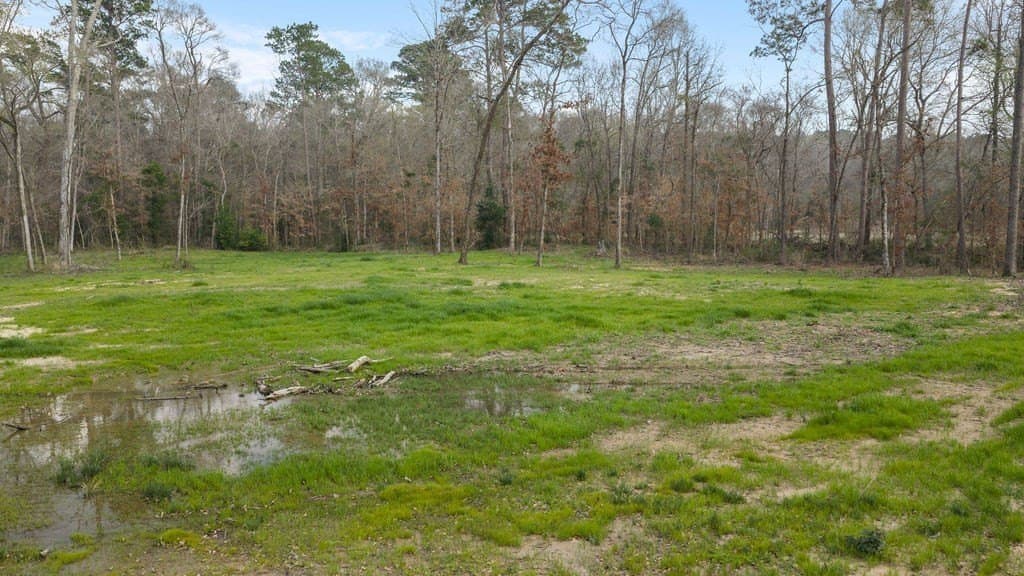 2.19 acres in Texas County - photo 22