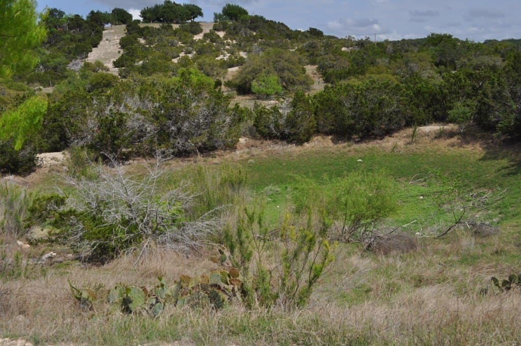 34.84 acres in Gillespie County - photo 9