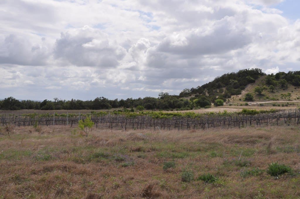 34.84 acres in Gillespie County - photo 12