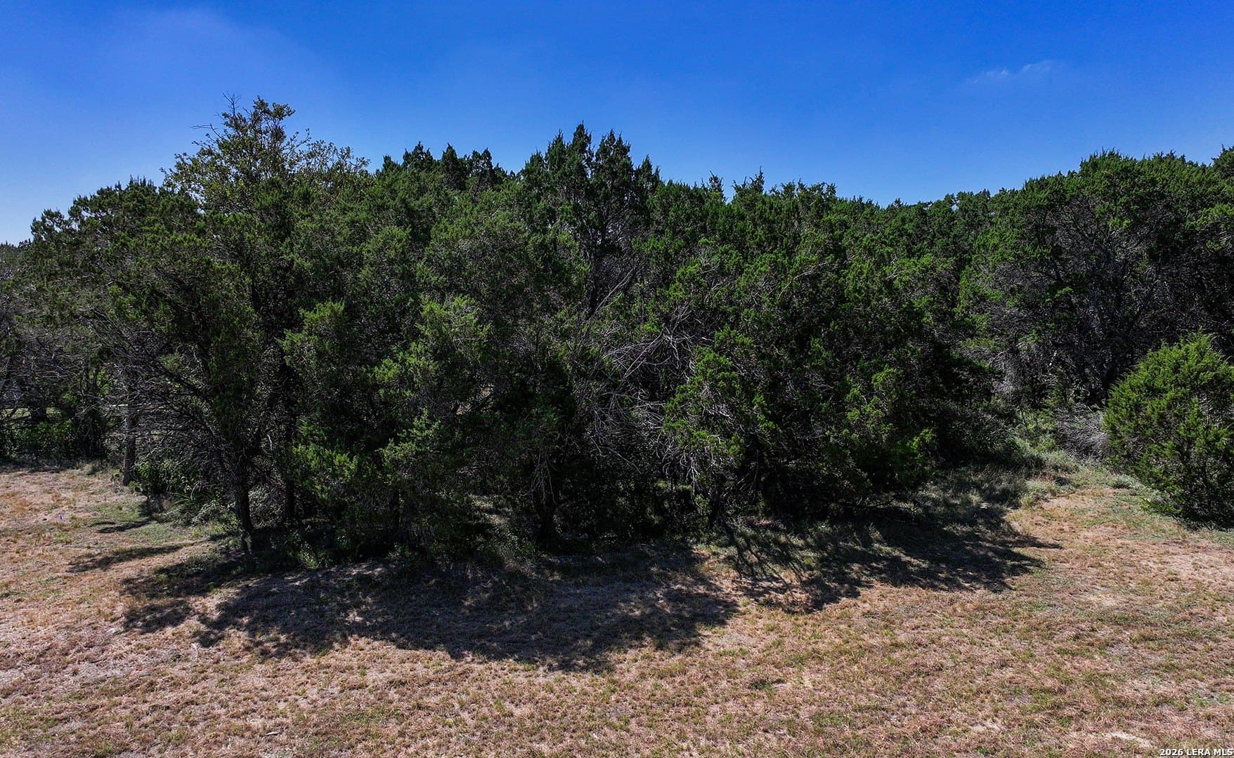 1.09 acres in Comal County - photo 28