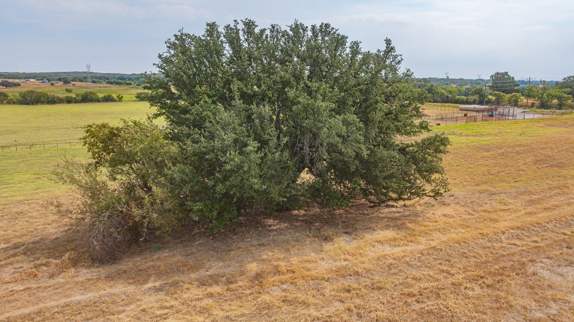 2.02 acres in Parker County - photo 9