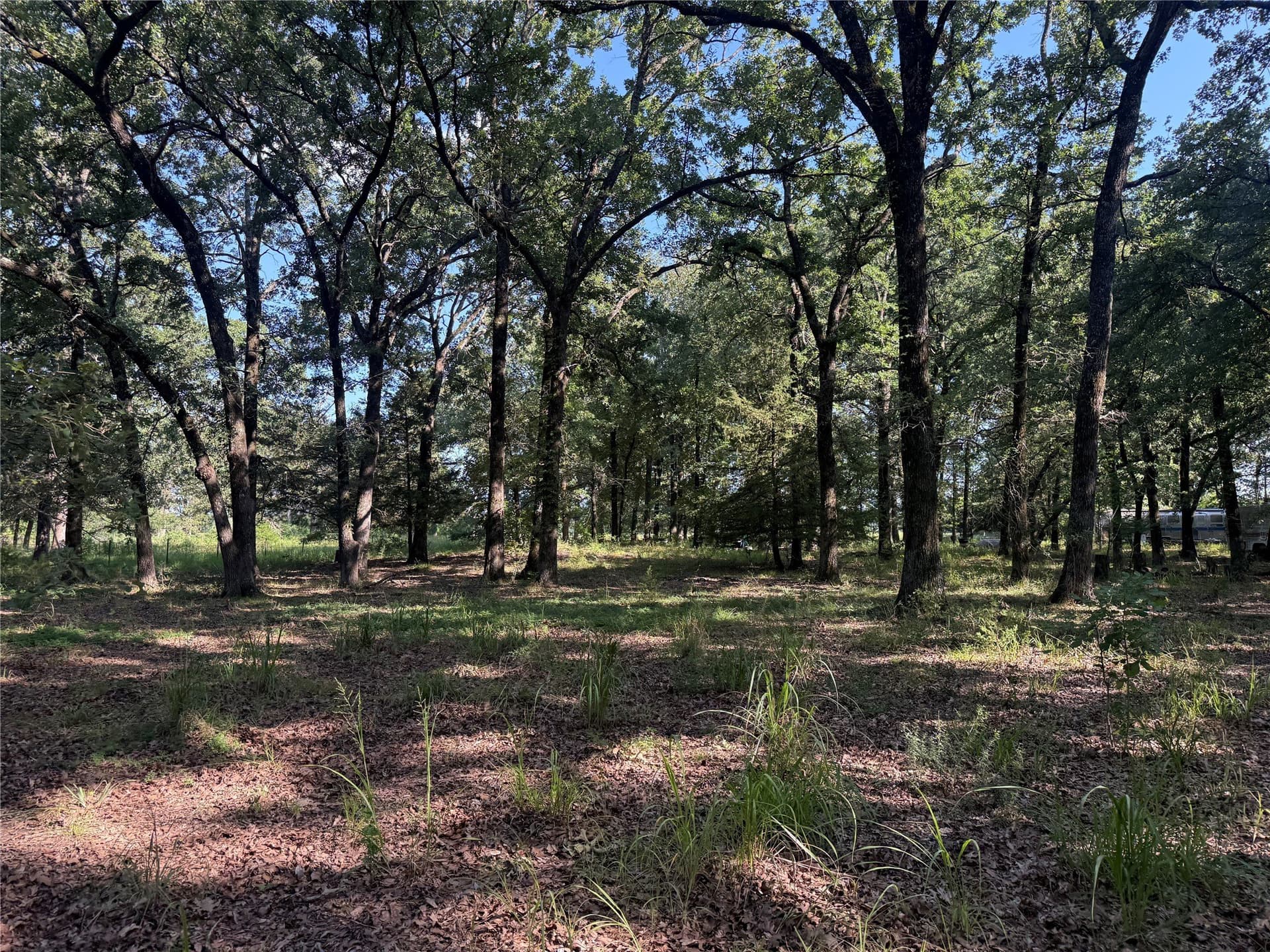 10.09 acres in Fannin County gallery image 4