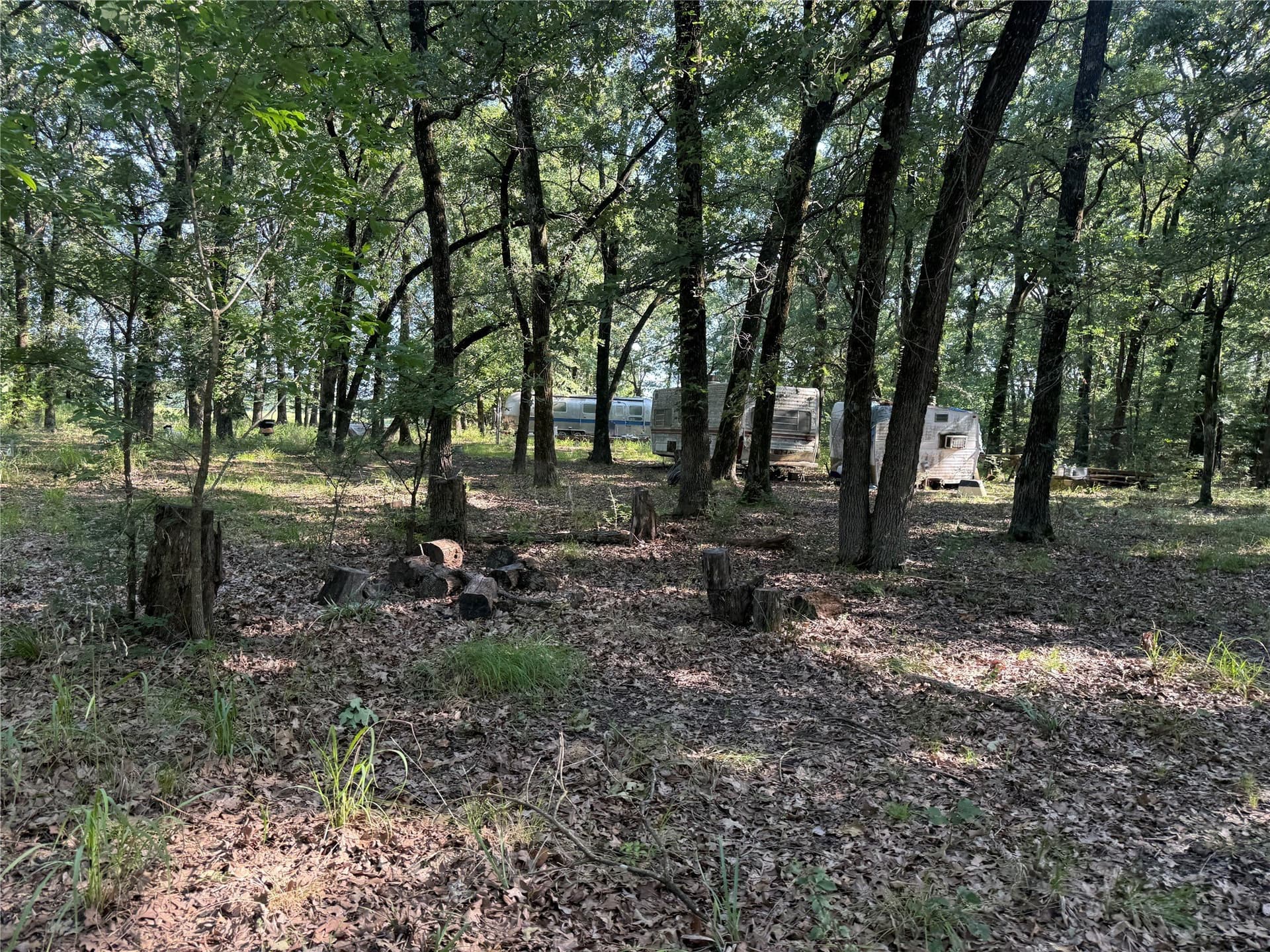 10.09 acres in Fannin County gallery image 3