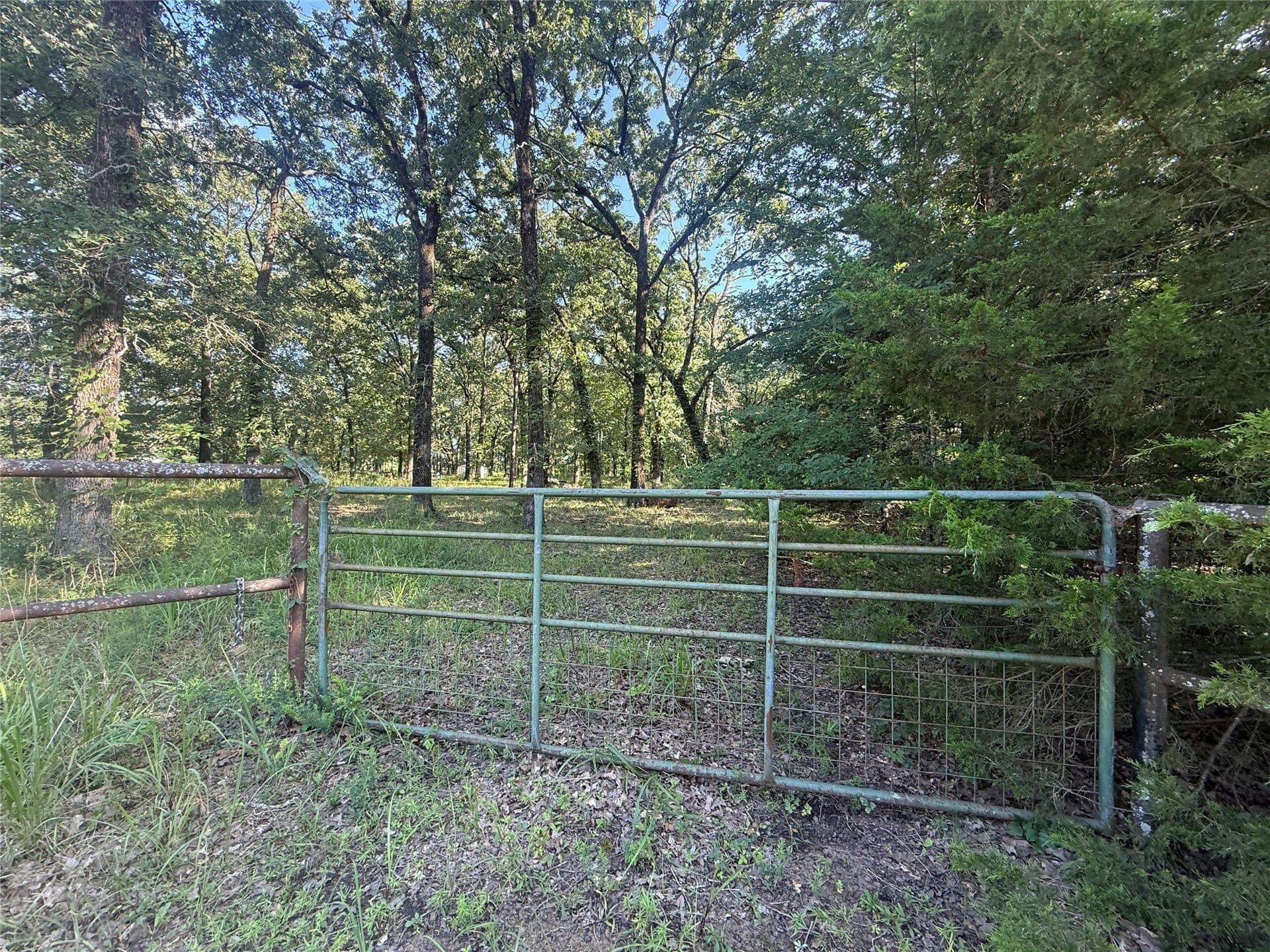 10.09 acres in Fannin County gallery image 2