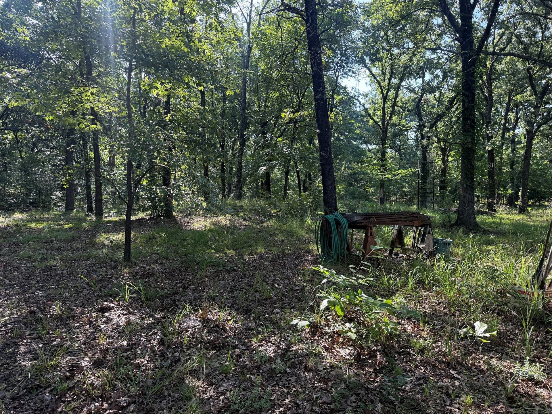 10.09 acres in Fannin County featured view