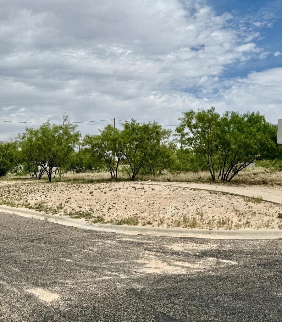 0.13 acres in Howard County - photo 2