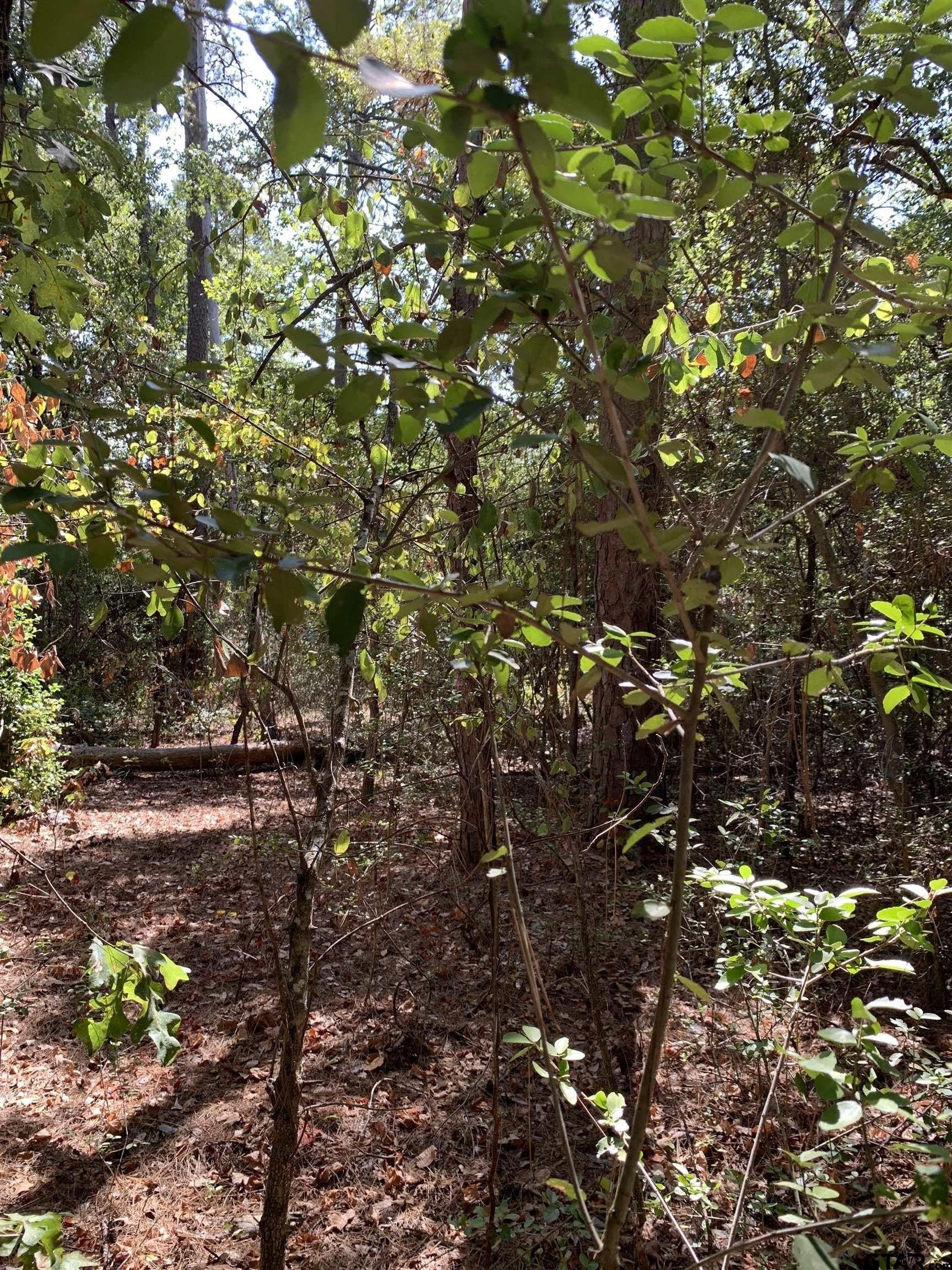 2.4 acres in Wood County - photo 6