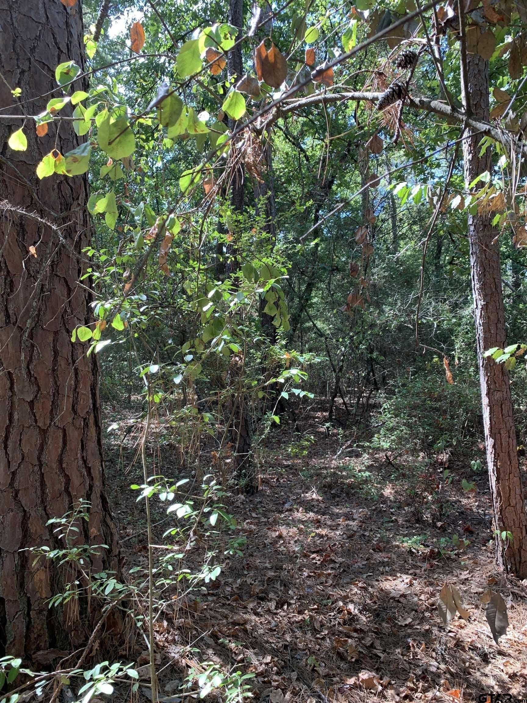 2.4 acres in Wood County - photo 7