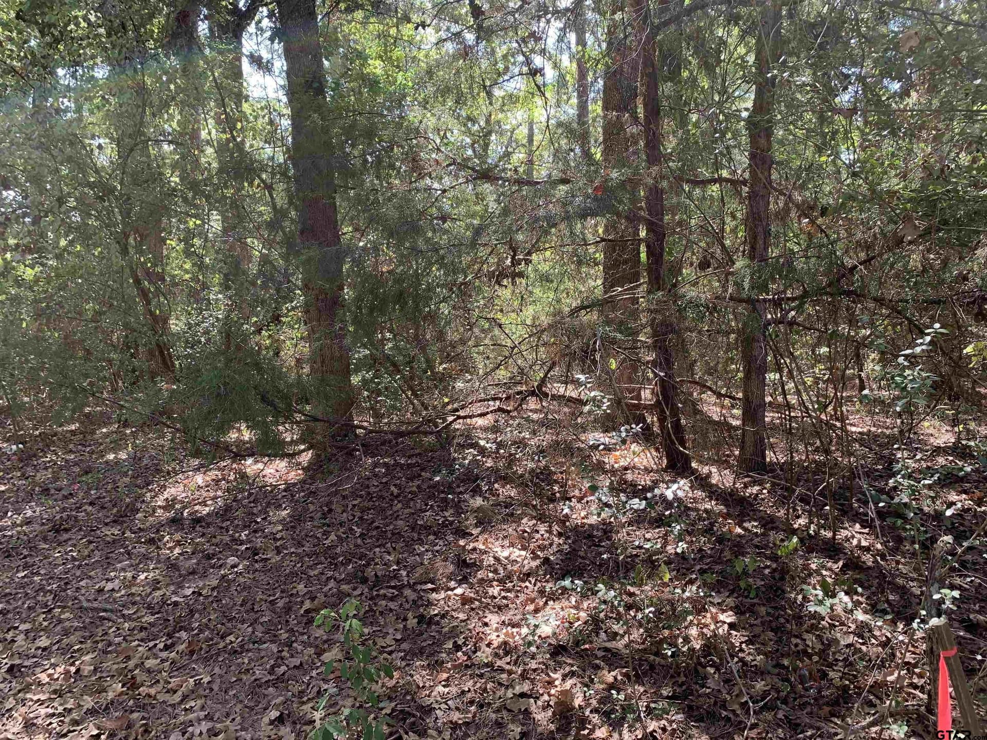 2.4 acres in Wood County - photo 4