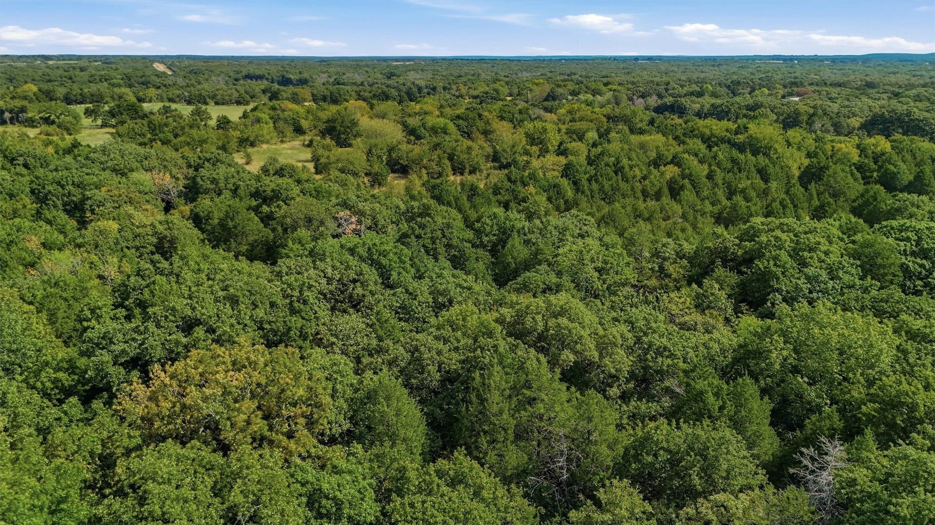 33.32 acres in Grayson County - photo 14