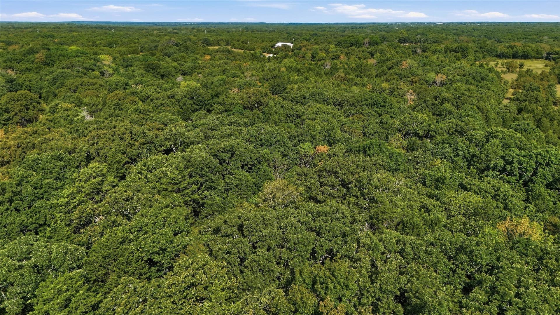 33.32 acres in Grayson County - photo 15