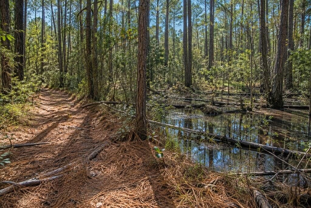 25.43 acres in Texas County - photo 2