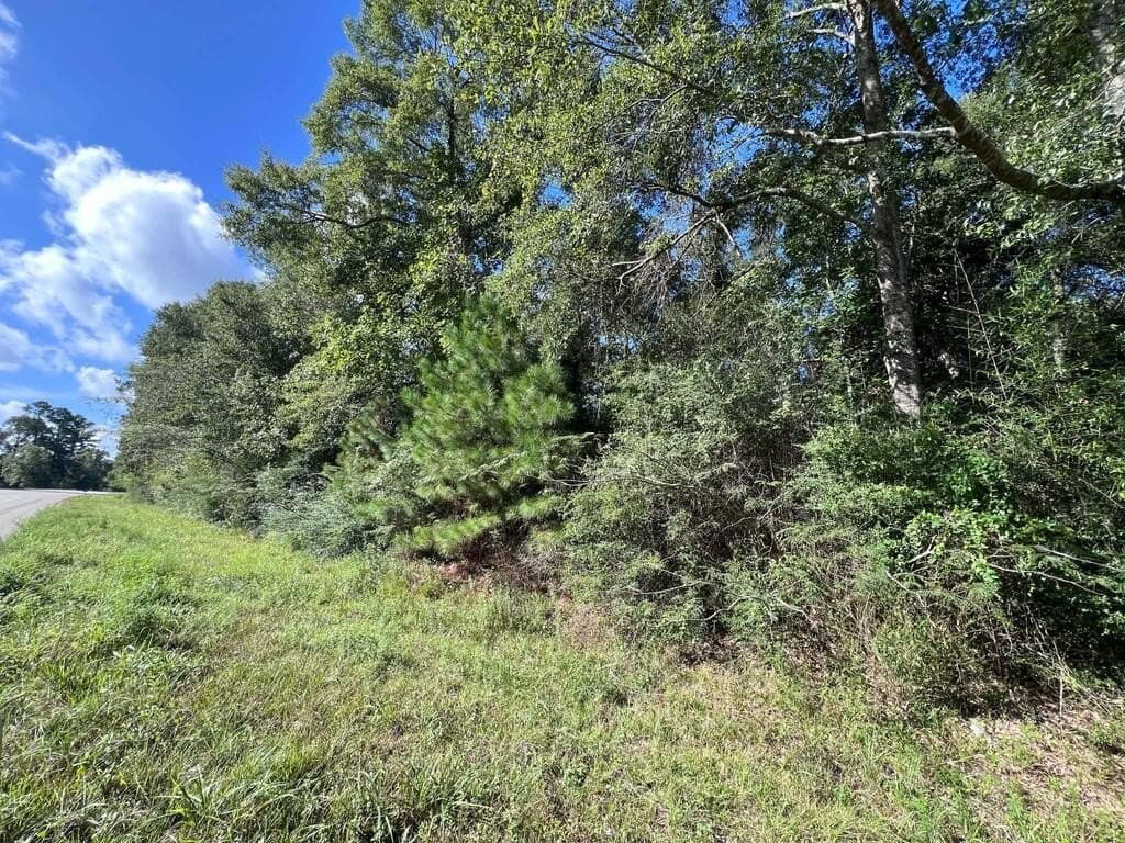 25.43 acres in Texas County - photo 4