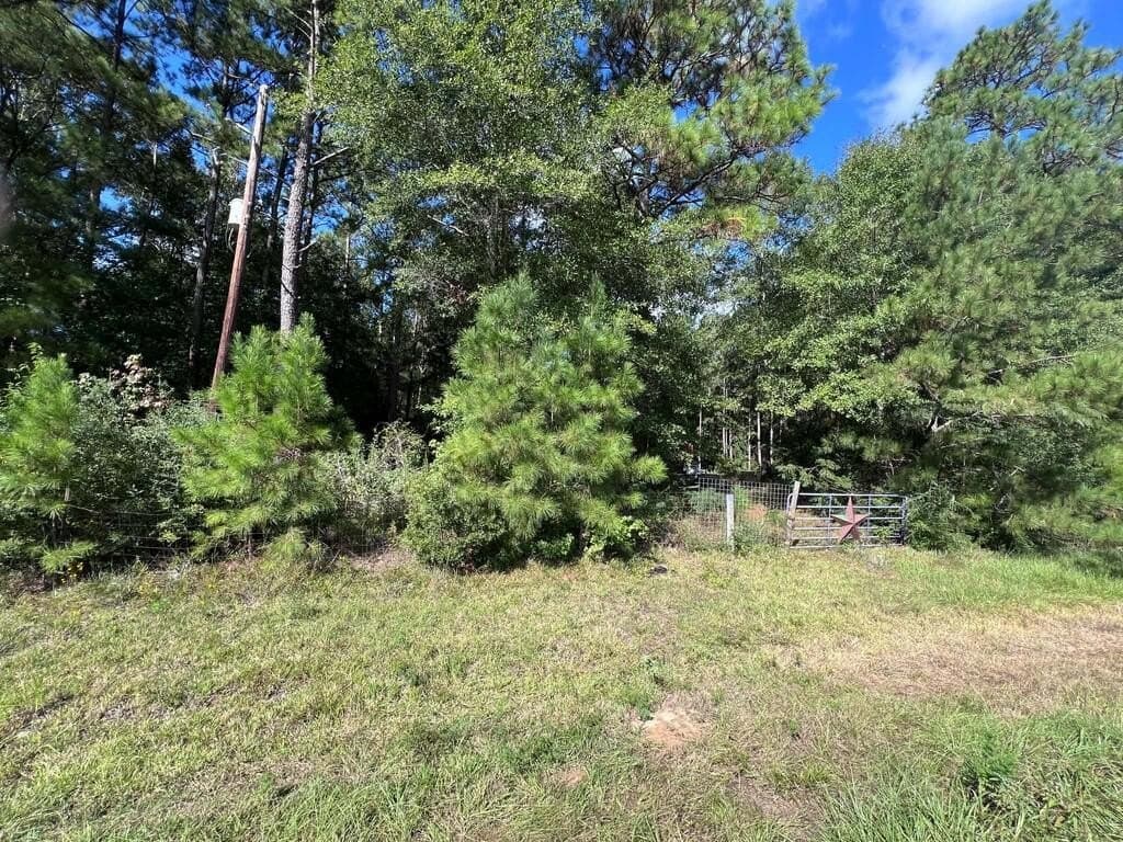 25.43 acres in Texas County - photo 6